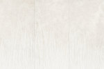 Untamed Flourish 24×48 Field Tile Matte Rectified
