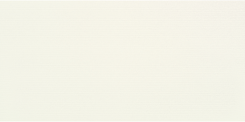 Retroactive 2.0 Snow Blind 12×24 Field Tile Patterned