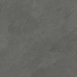 Albany Coal 32×32 Field Tile Rectified
