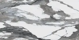 Northport Gray 24×48 Field Tile Polished Rectified