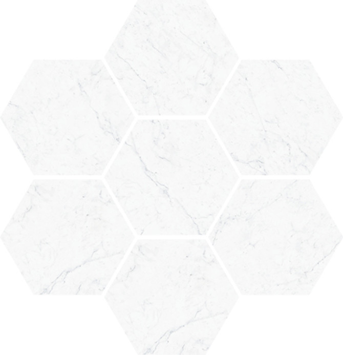 Carrara 12×11 Hexagon Mosaic Honed Rectified