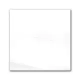 Checkerboard Dolomite Extra 12×12 Field Tile Honed