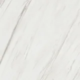 Majesto Calacatta Cremo 36×36 Field Tile Honed Rectified