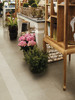 Basalt Silica 12x12 and Caldera 12x12