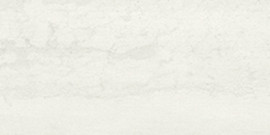 Chalmers Light 12×24 Field Tile Matte Rectified