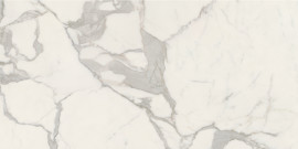 Anima Futura Majestic White 24×48 Field Tile Polished Rectified