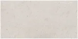 Marmi Antiqua Chateau Porto 8×16 Field Tile Distressed