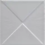 Palm Canyon Bone 5×5 Quad Decorative Tile