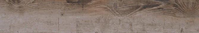 Bryson Valley Petrified Forest 8×48 Field Tile Matte Rectified