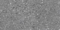 Santiago Dark Gray 24×48 Field Tile Rectified