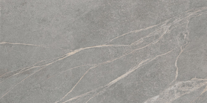 Soapstone Grey 12×24 Field Tile Matte Rectified
