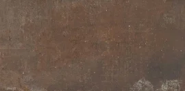 Transit Brown 12×24 Field Tile Matte Rectified