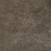 Sensi Brown Fossil 48×95 Field Tile Matte Rectified