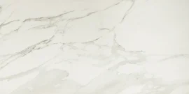 Valentina Calacatta 12×24 Field Tile Matte Rectified