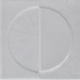 Palm Canyon Bone 5×5 Orbit Decorative Tile