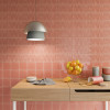 Sweet Bars Coral Gloss 5x10 and Fayenza Coral Gloss 5x5