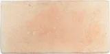 Roots Sand 4×9 Field Tile Matte