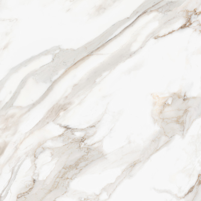 Majesto Calacatta Oro 48×48 Field Tile Polished Rectified