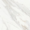 Majesto Calacatta Borghini 24×24 Field Tile Honed Rectified
