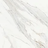 Majesto Calacatta Borghini 24×24 Field Tile Honed Rectified