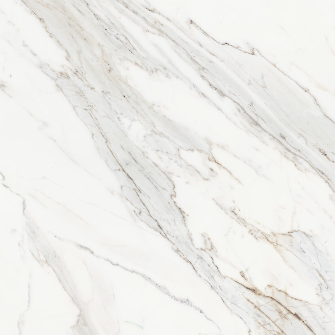 Majesto Calacatta Borghini 24×24 Field Tile Honed Rectified