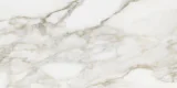 Gleam Calacatta 12×24 Field Tile Matte