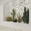 Abbey Stone Sintra 4x4 and Roots White Gloss 4x4