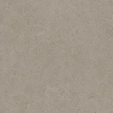 Argent 2.0 Marble Faun 12×12 Field Tile Rectified