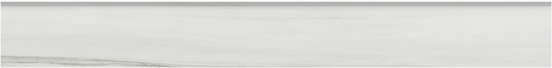 Caspar Zebrino 3×24 Bullnose Polished