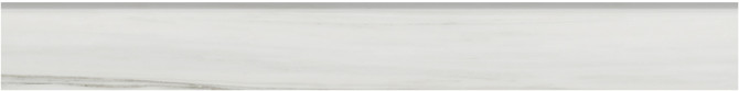 Caspar Zebrino 3×24 Bullnose Polished