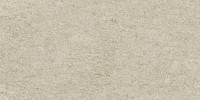 Delphin Beige 12×24 Field Tile