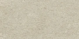 Delphin Beige 12×24 Field Tile