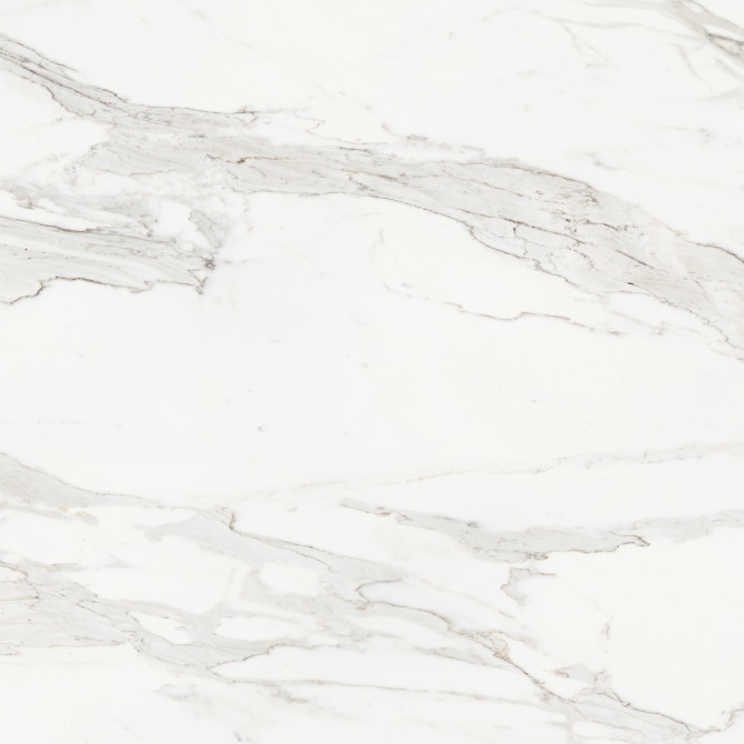 Majesto Calacatta Borghini 48×48 Field Tile Polished Rectified