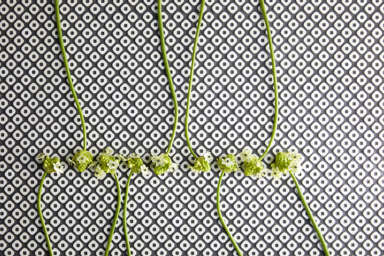 Kanoko White 1x1 Kanoko Mosaic