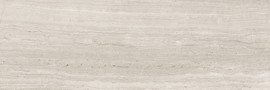 Caspar Shadow 4×12 Polished Rectified