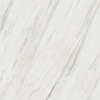 Majesto Calacatta Cremo 48×48 Field Tile Honed Rectified