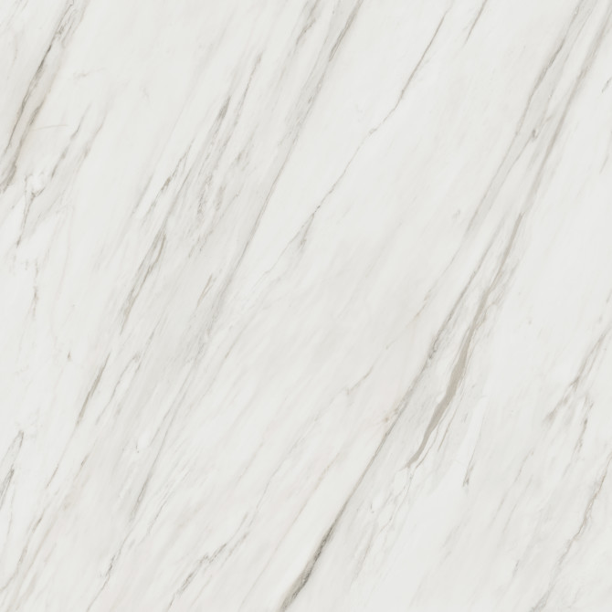 Majesto Calacatta Cremo 48×48 Field Tile Honed Rectified