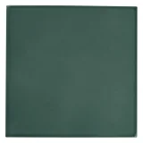6th Avenue Jade 6×6 Field Tile Glossy