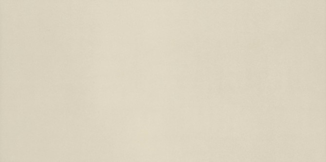 Neoconcrete White 12×24 Field Tile Light Polished Rectified