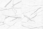 Raffino Statuario Valore 12×36 Alto Decorative Tile Rectified