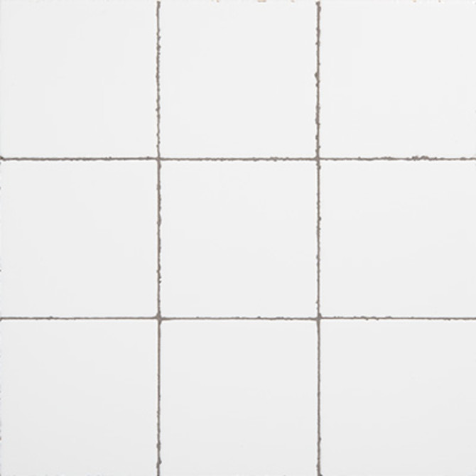 Dakota Tundra 5×5 Field Tile