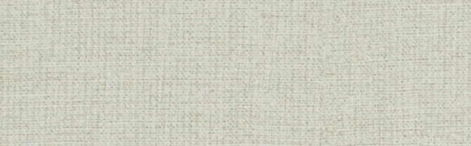 Ready To Wear Hand In Glove 2×6 Field Tile Matte