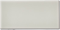 Pure Santa Cruz Gloss 4-1/2×8 Millenium Moulding