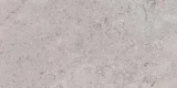 Rochester Gray 12×24 Field Tile Matte