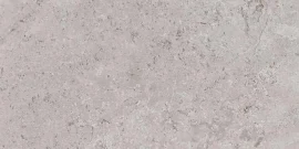 Metric Light Grey 12×24 Field Tile Matte