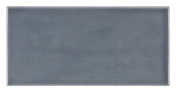 Habitat Graphite 2-1/2×5 Field Tile Glossy