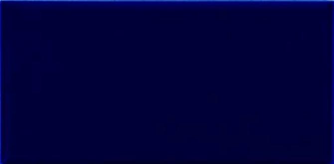 Color Complements Blueberry 4×4 Surface Bullnose Matte