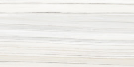 Caspar Zebrino 24×48 Field Tile Polished Rectified