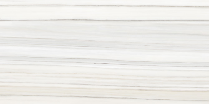 Caspar Zebrino 24×48 Field Tile Polished Rectified