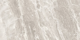Caspar Argento 12×24 Field Tile Matte Rectified